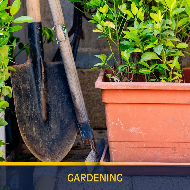 Gardening